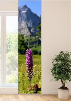 Flächenvorhang Bergsommergedanken, , Schiebevorhang, Schiebegardine, modern, 60 cm breit, 2,65 m hoch, 3 m hoch
